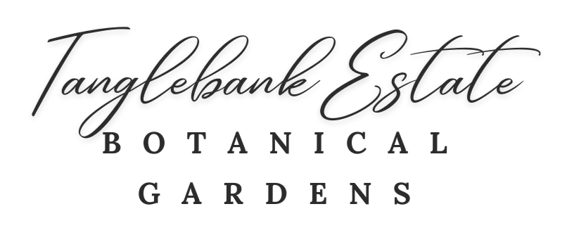Brambles Bistro at Tanglebank Gardens logo