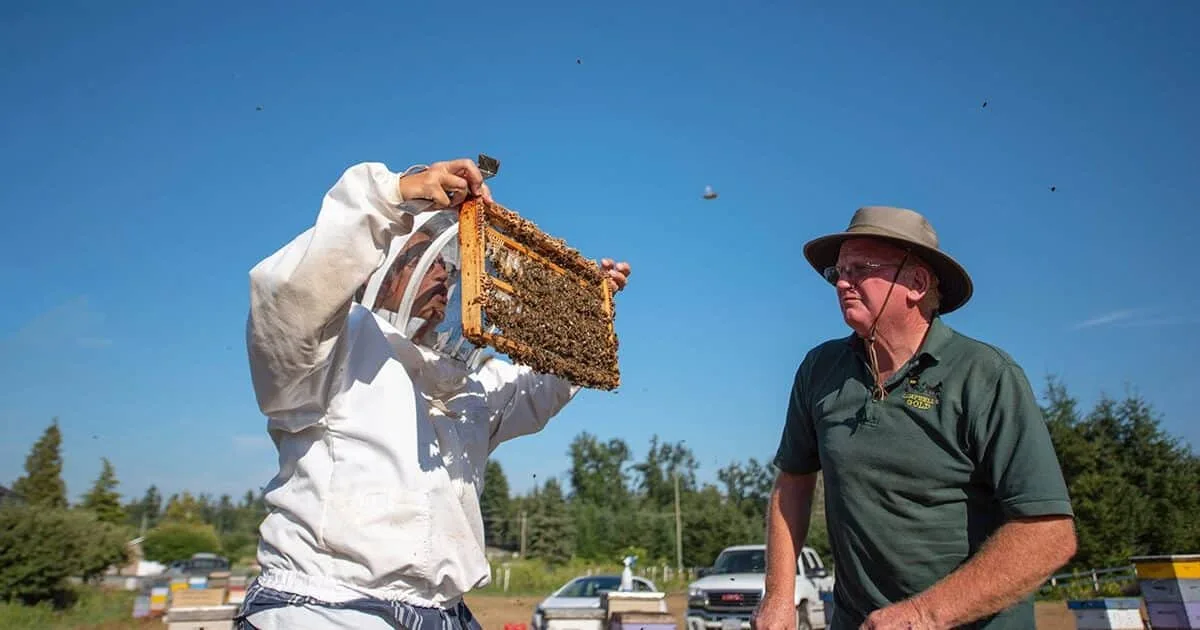 Campbell's Gold Honey Farm Meadery logo
